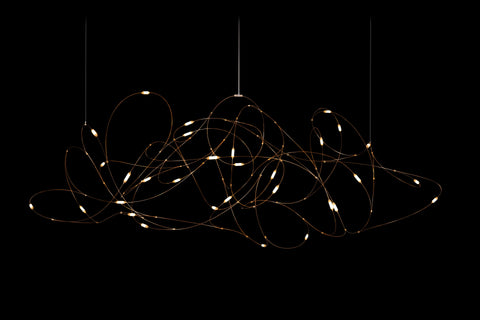 Flock of Light 21