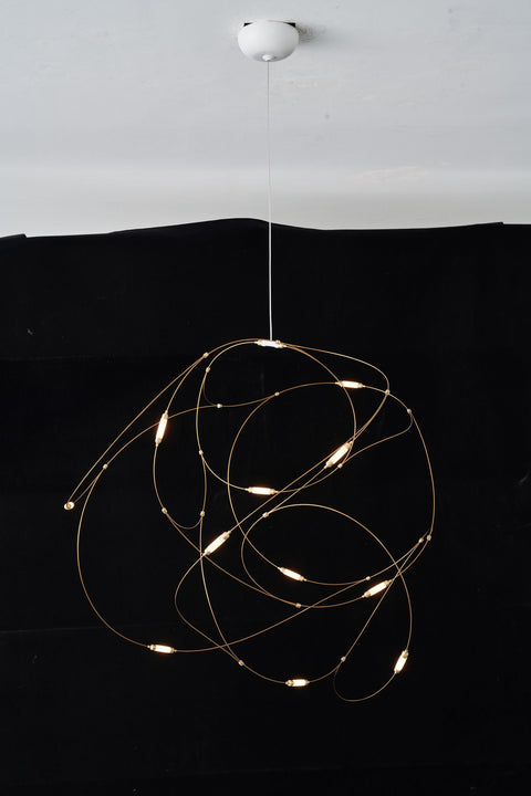 Flock of Light 11