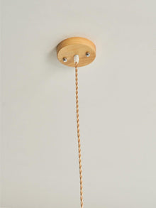 Rattan Straw Hat Pendant Light